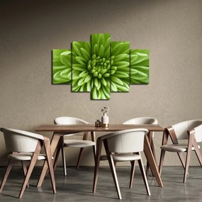 Kép - Makro kép egy növényről (150x105 cm)