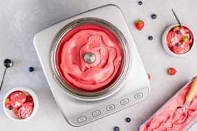 MAGIMIX® Gelato Expert