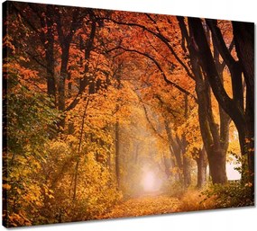 VĂĄszonkĂ©p 50x40 Ćszi kilĂĄtĂĄs