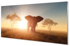 Üvegképek Elefánt fa keletre 125x50 cm