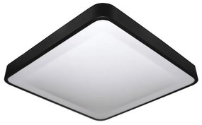 LED Mennyezeti lámpa WILTON LED/24W/230V fekete