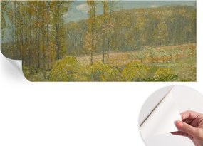 Öntapadós tapéta Divatos 3D fali ragasztó Erdei tájkép 250x104 cm