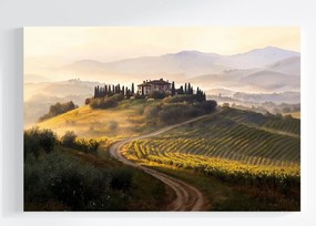 Vászonkép Canvas Toszkána Olaszország Szőlő Táj Villa Ház 120x80