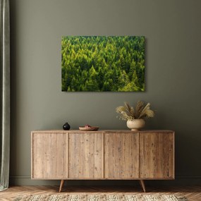 Kép - sűrű erdő (90x60 cm)