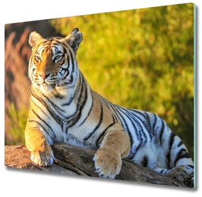 Üveg vágódeszka Portré egy tigris 60x52 cm