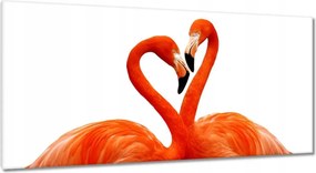 Vászonkép 115x55 Szerelmes pelikánok