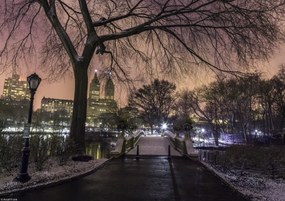 Poszter 29,7x21cm Esti kilátás a Central Parkra, Assaf Frank