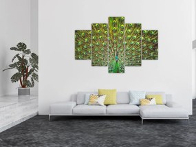 Kép - Páva (150x105 cm)