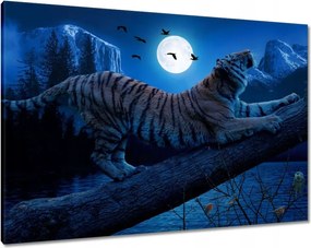 Vászonkép 100x70 Tigris az ágon éjszaka