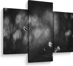 Kép - Mezei fű (90x60 cm)
