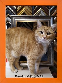 Klasszikus képkeret falra és asztalra, 15x21 cm, fa