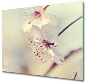 Üveg vágódeszka cseresznyevirág 60x52 cm