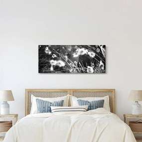 Kép - Pókháló a réten (120x50 cm)