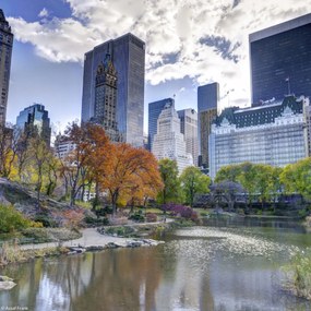 Poszter 20x20cm Tó a Central Parkban Manhattan panorámával, Assaf Frank