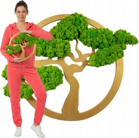 Élő moha kép Karbantartást Nem Igénylő örökké élő boldogságfa Bonsai 50cm