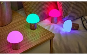 Natúr színű kőrisfa LED dimmelhető asztali lámpa (magasság 7 cm) Alice – Gingko