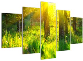 Kép - Az erdő tavaszi ébredése (150x105 cm)