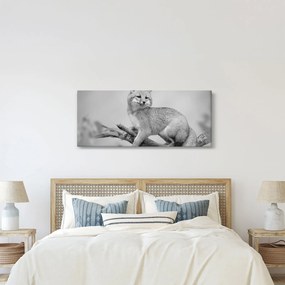Kép - Szürke róka (120x50 cm)