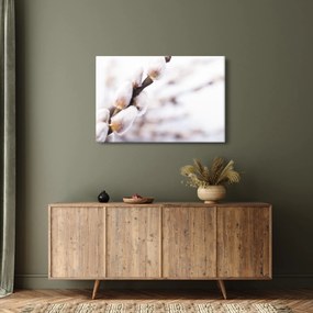 Kép - Macska (90x60 cm)