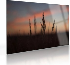 Kép - A növény sziluettje (üvegen) (70x50 cm)