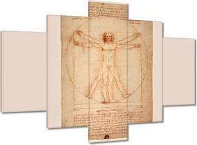 Festmények 150x105 A vitruviusi ember