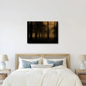 Kép - Sötét erdő (70x50 cm)