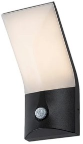Rabalux 77172-LED TOLNA kültéri fali lámpa szenzorral LED/10W/230V IP54