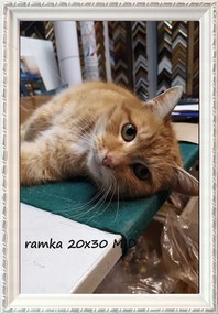 Képkeret falra és elhelyezésre 20x30 fa 15 massza fehér