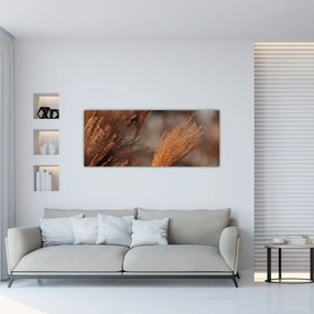 Kép - Cortaderia (120x50 cm)