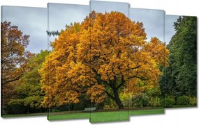 Festmények 100x60 Fa