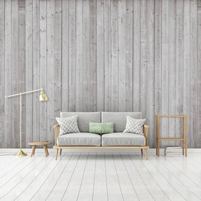 Fotótapéta - Textúra - fa deszkák (152,5x104 cm)