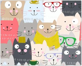 Poszterek 50x40 Cica Cicák
