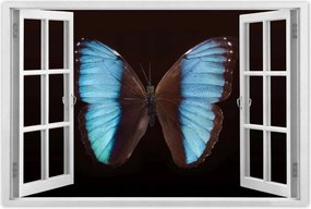 Poszterek 90x60 Kék pillangó