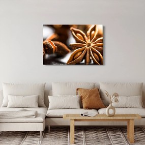 Kép - Anise (90x60 cm)