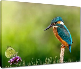 Vászonkép 40x30 Mit is lehetne itt ropogtatni