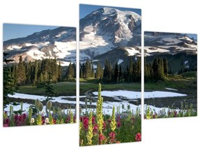 Kép - Mount Rainier (90x60 cm)