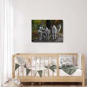 Üveg kép - Farkasok a sziklán (70x50 cm)