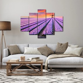 Kép - virágfarm (150x105 cm)