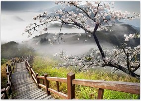 Poszterek 100x70 Japán Virágzó cseresznye