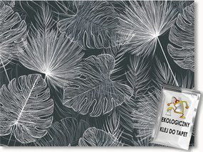 Fotótapéta Flizelina Grafika Növények Levelek Monster Pálma 300x210 ragasztó