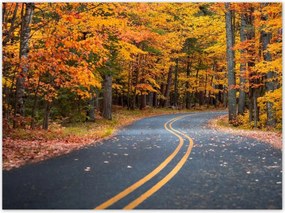 Poszterek 135x100 Tájkép Látvány