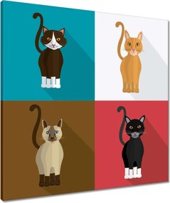 Vászonkép 60x60 Cica