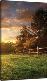 Vászonkép Nap Tájkép Falusi fák Rét 70x120 cm