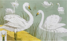 Flizelina Dekoratív Fotótapéta Hálószoba Hattyúk tó 416x254 Ragasztó