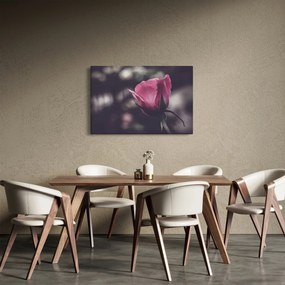Kép - Rózsa virág részlete (90x60 cm)