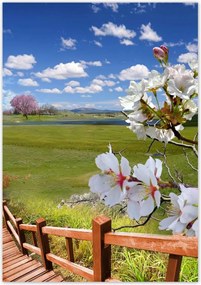 Poszterek 70x100 Lépcsőn lefelé