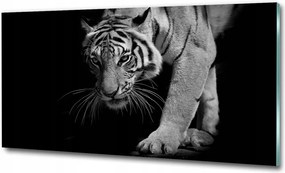 Fotó-kép fotó edzett üveg Tigris 120x60