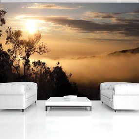 Fotótapéta - Napkelte a ködös erdő fölött (152,5x104 cm)