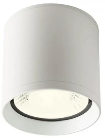 REDO-90344 XILO Fehér Színű Kültéri Mennyezeti Lámpa LED 25W IP54