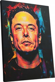 Vászonkép Portré Elon Musk nappali Elon Musk ajándék 45x60